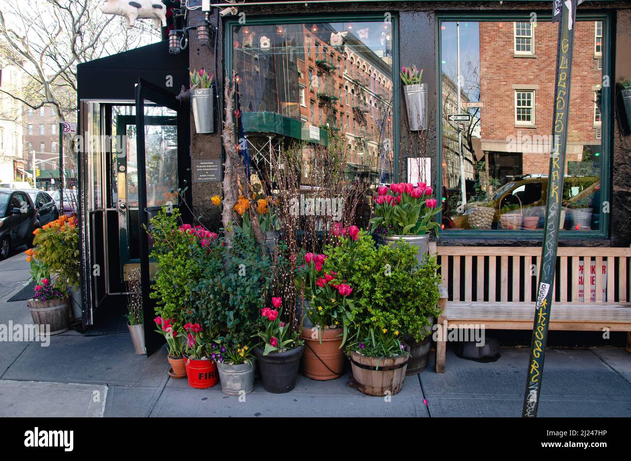 Scene primaverili intorno a Lower Manhattan, New York City. Foto Stock