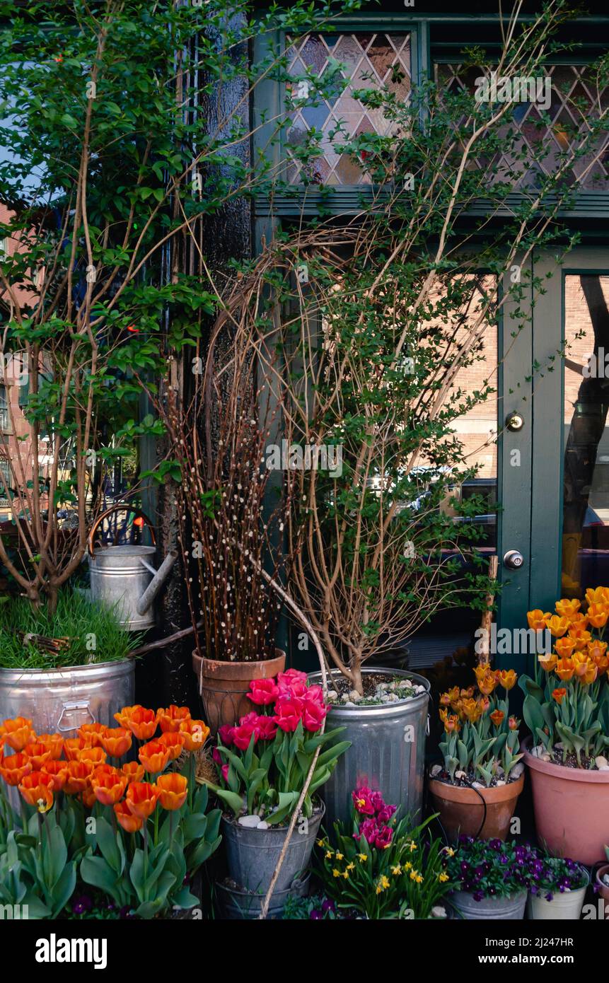 Scene primaverili intorno a Lower Manhattan, New York City. Foto Stock