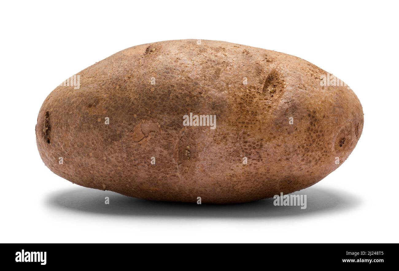 Un unico Russet Potato Cut out su bianco. Foto Stock