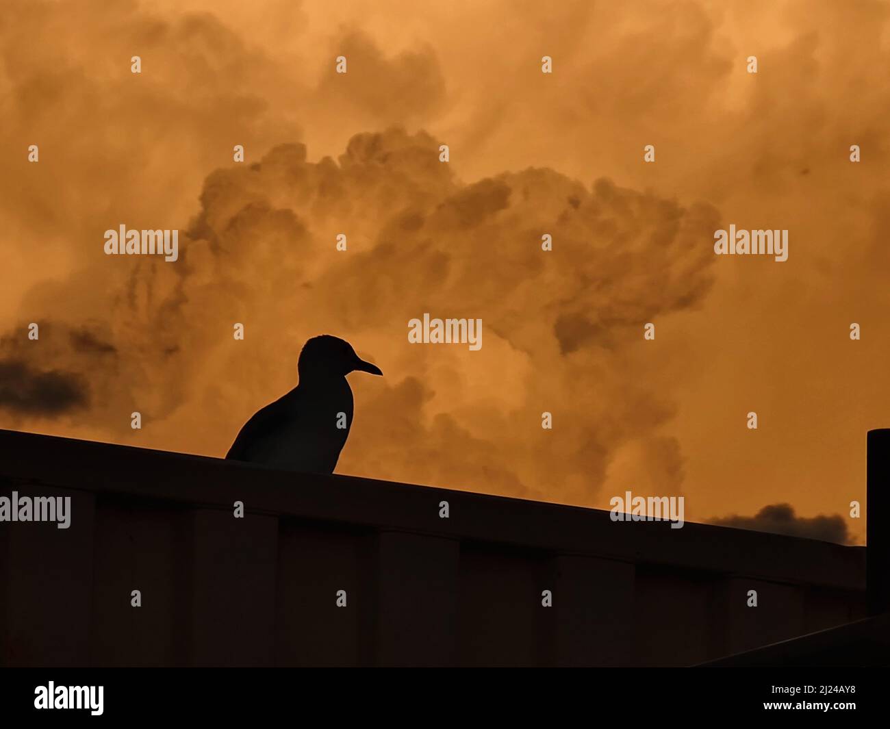 Nuvole tempesta sulla baia al tramonto Foto Stock