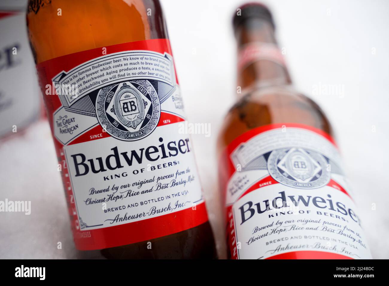 Marinette,WI,USA -DEC1-2021: Un venditore all'aperto vende birra Budweiser refrigerata su un tavolo con molta neve. Bottiglie di birra Bud, un pallido all'americana Foto Stock