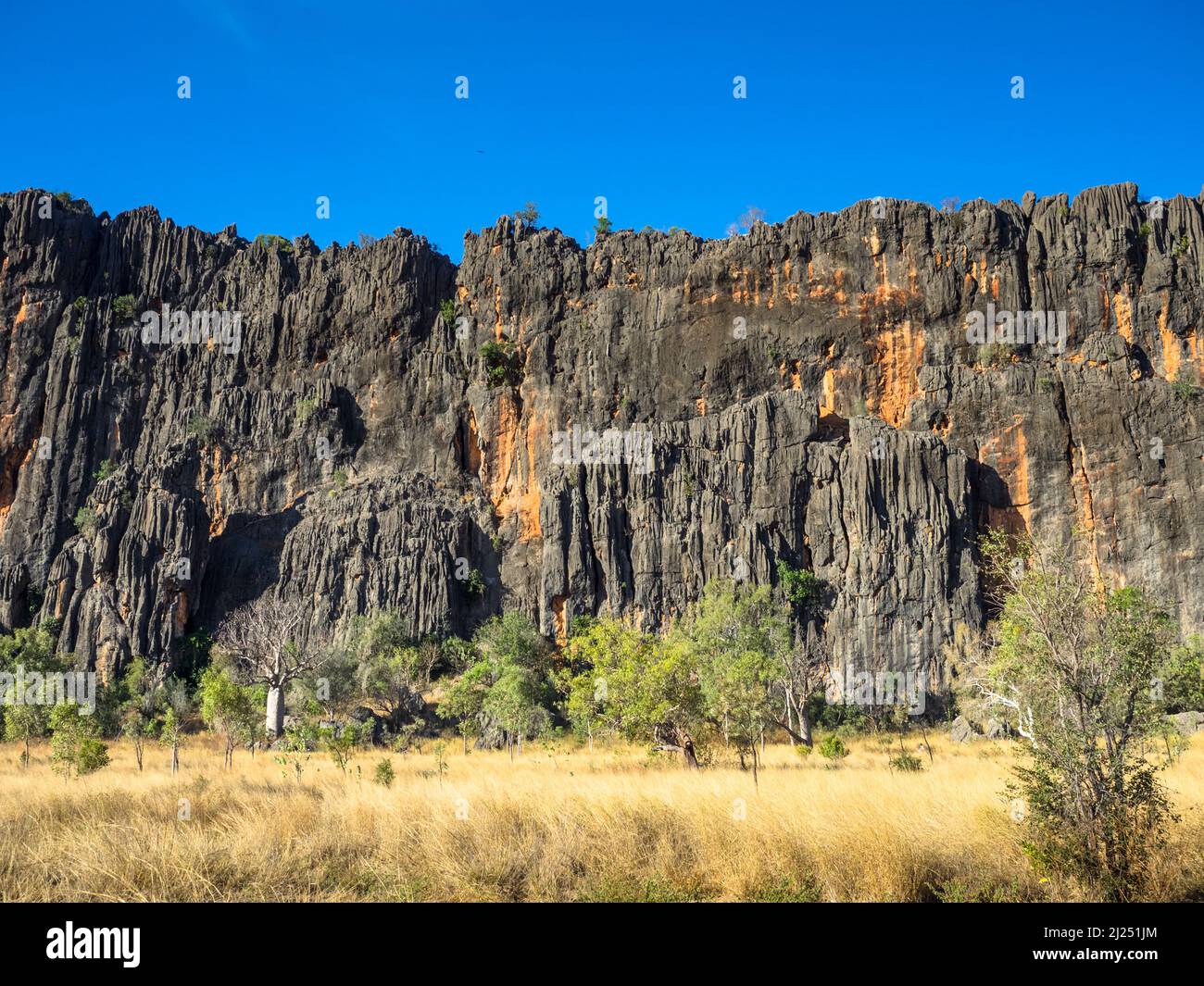 Scogliere calcaree del Napier Range, Windjana Gorge, Bandilngan National Park, West Kimberley Foto Stock