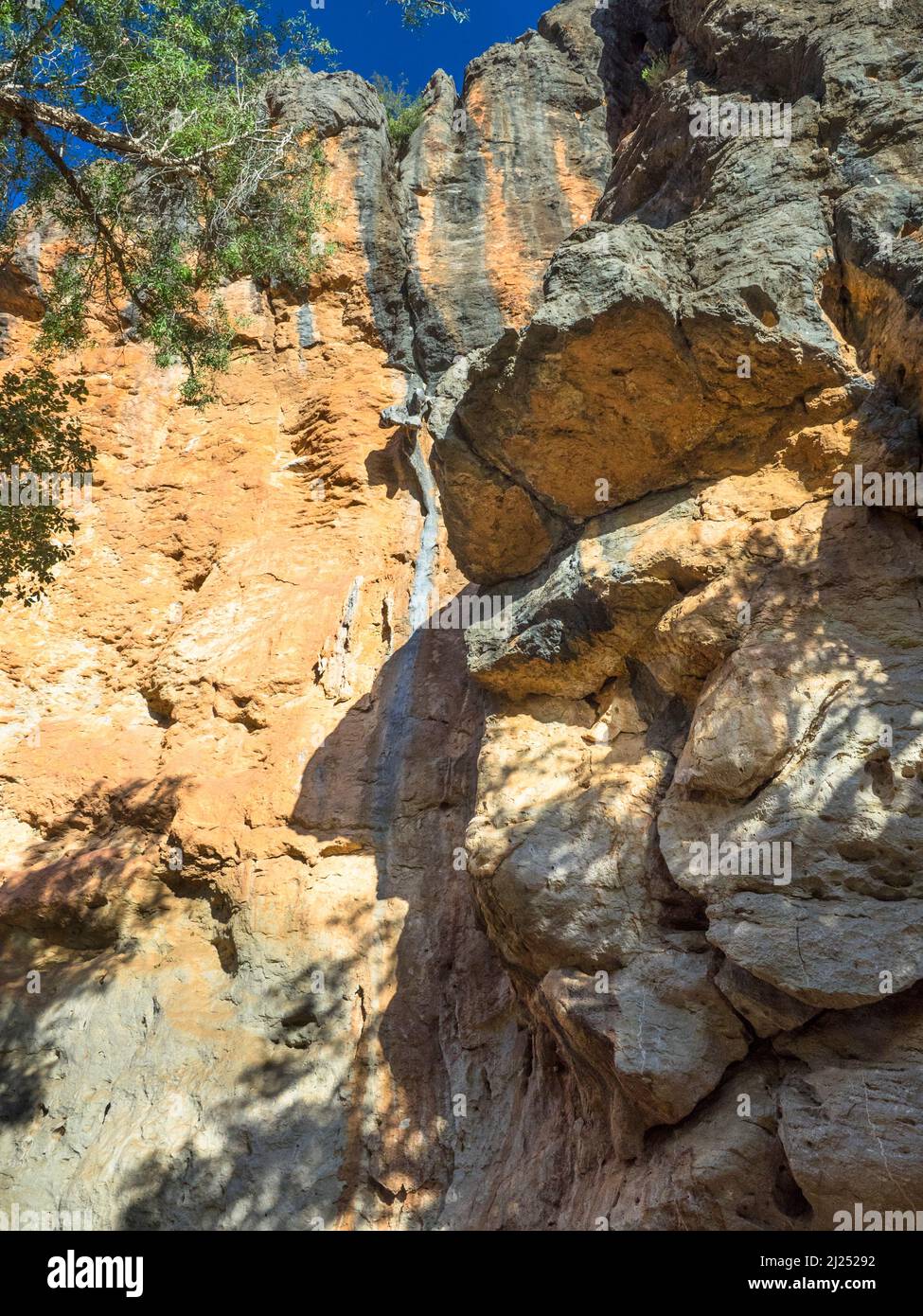 Scogliere calcaree della catena Napier, Windjana Gorge, Bandilngan National Park, West Kimberley Foto Stock