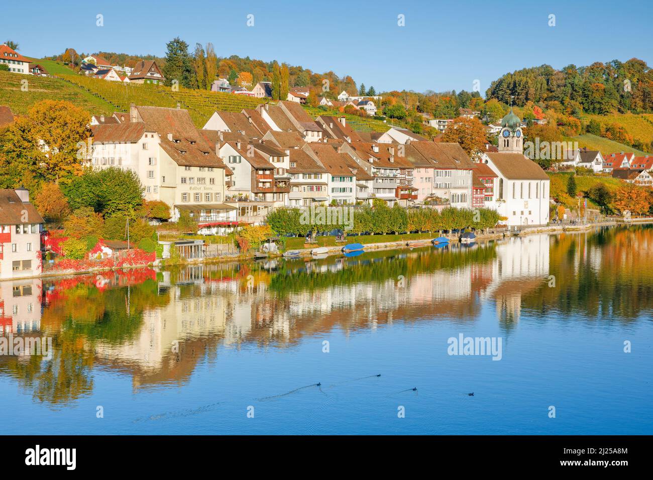 Vista dalla riva del Reno sul Reno fino al centro storico di Eglisau con riflessi sull'acqua. Cantone Zurigo, Svizzera Foto Stock