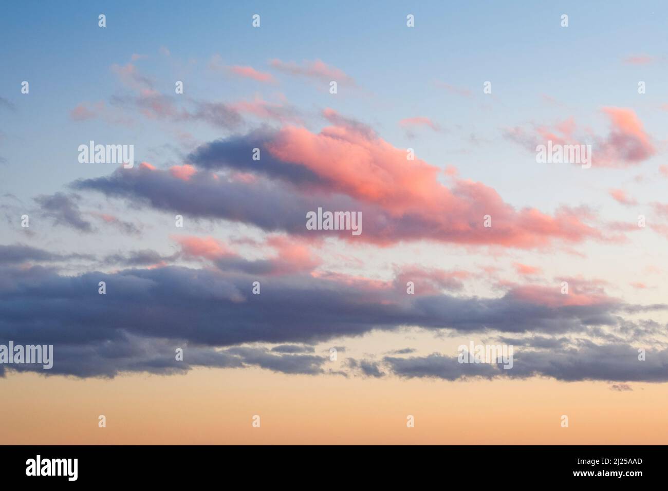 Le nuvole rosa di Cumulus decorano il cielo serale al tramonto. Svizzera Foto Stock