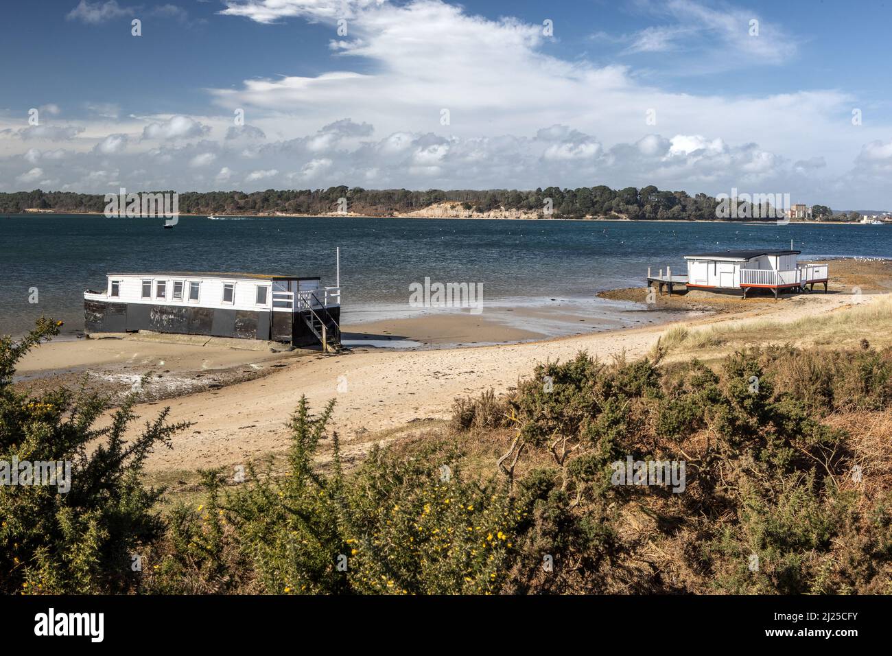 Casa galleggiante, Springtime, Bramble Bush Bay, Stone Island Lake, Brownsea Island, Poole Harbour, Studland, Dorset, Regno Unito Foto Stock