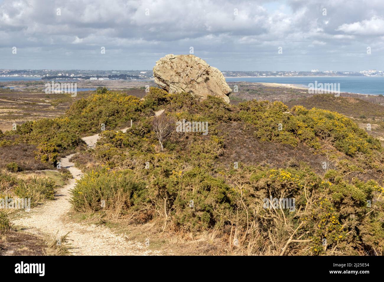 Agglestone Rock alias Diavolo's Anvil, Studland and Godlingston Heath, Dorset, Regno Unito Foto Stock