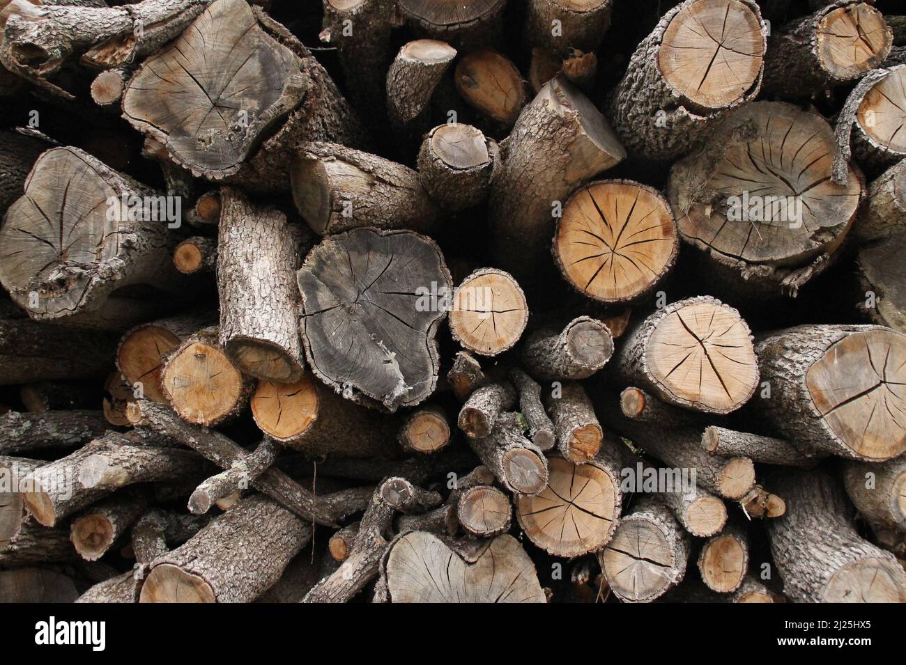 Fondo composto di tronchi di albero tagliati e impilati su di loro per vendere come legna da ardere. Foto Stock