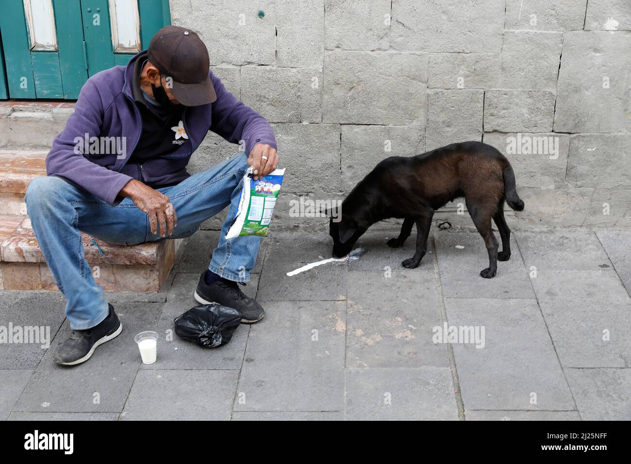 Uomo con cane a Cuenca, Ecuador Foto Stock