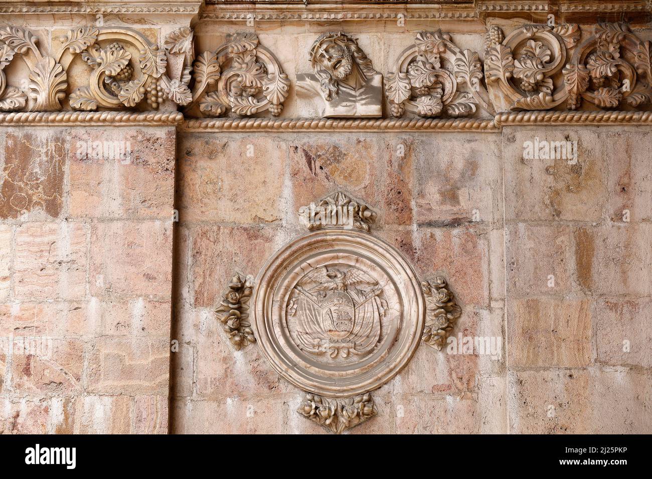 Cattedrale dell'Immacolata Concezione, Cuenca, Ecuador. Rilievi Foto Stock