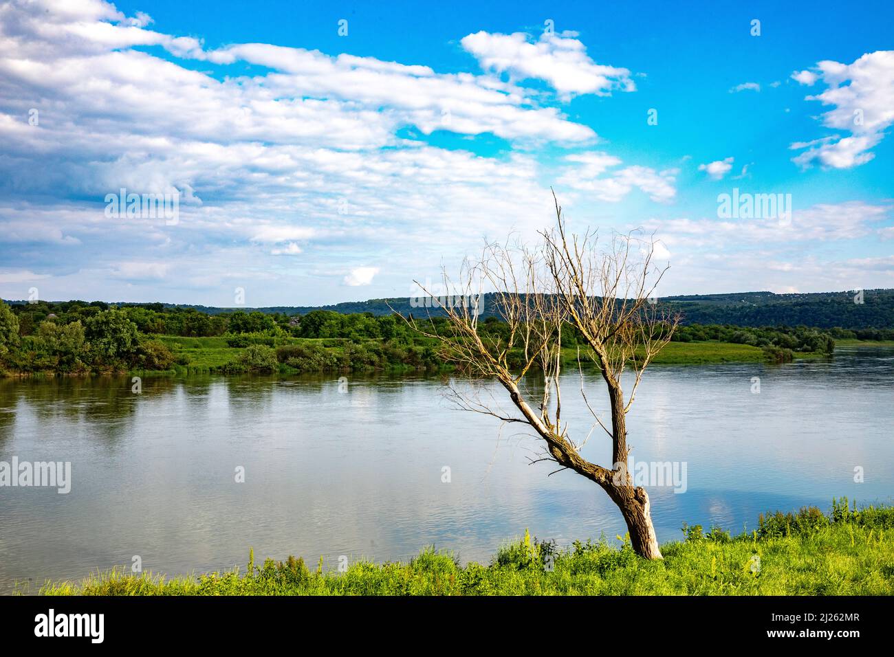 Vista sul fiume Dniestr e l'Ucraina da Soroca, Moldavia Foto Stock