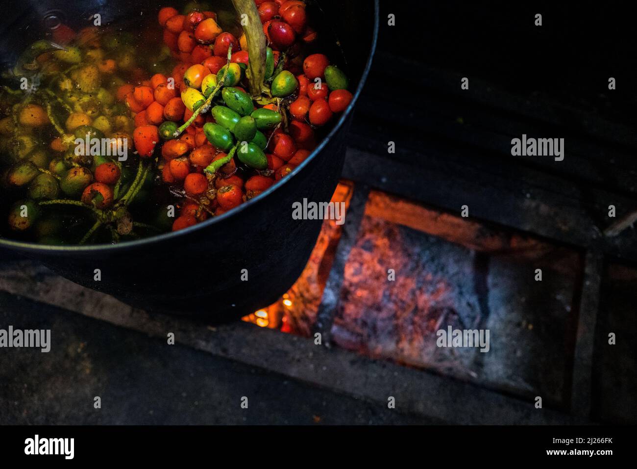La frutta cruda di chontaduro (palma di pesca) è vista essere cotta in un barile in un impianto di lavorazione a Cali, Valle del Cauca, Colombia. Foto Stock