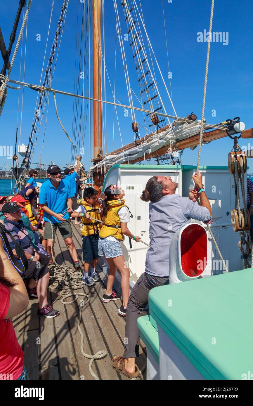 Passeggeri che alzano le vele sulla nave "Ted Ashby" del Museo Marittimo di Auckland. Auckland Harbour, Nuova Zelanda Foto Stock