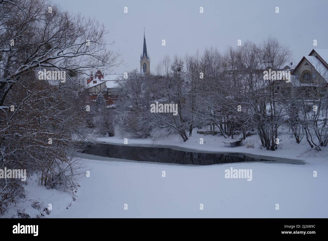 Paesaggio invernale con coperta di neve alberi Foto Stock