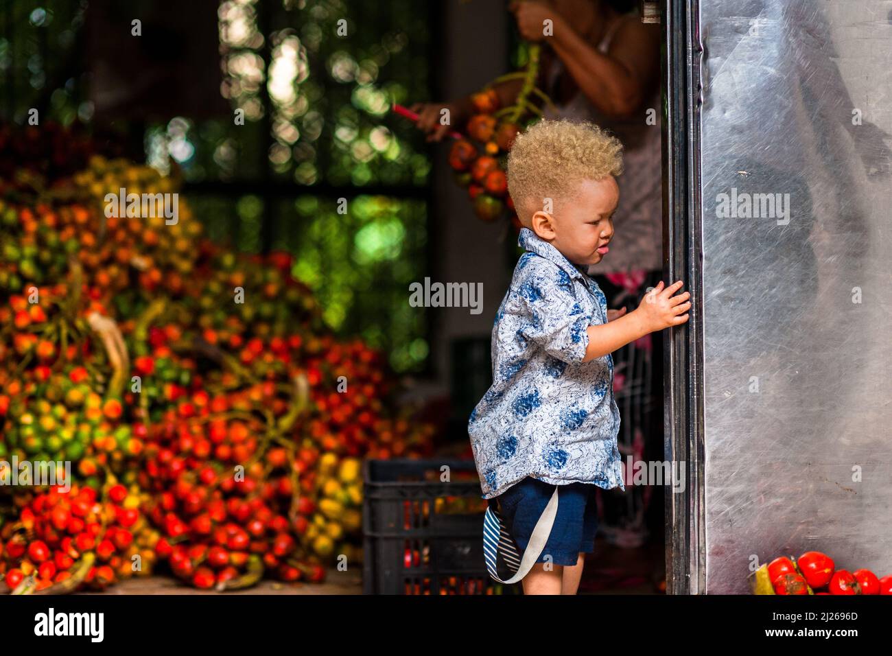 Un ragazzo albino afro-colombiano è appeso durante la lavorazione della frutta condaduro (palma di pesca) in una struttura a Cali, Valle del Cauca, Colombia. Foto Stock