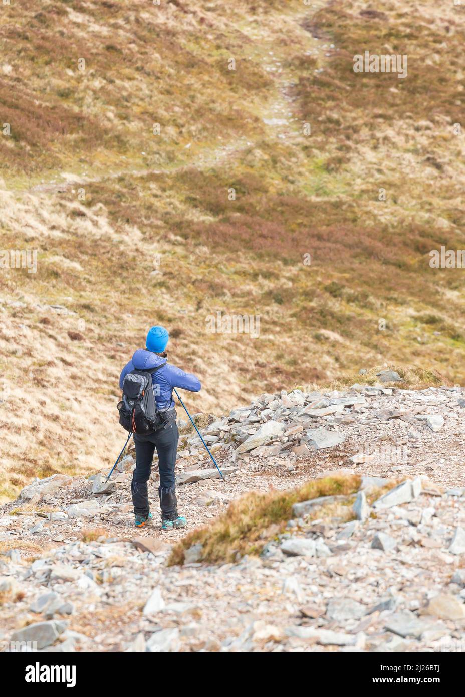 Vista posteriore di escursionista femminile isolato all'aperto, a piedi nelle montagne del Parco Nazionale Snowdonia, Galles del Nord, Regno Unito utilizzando bastoncini da passeggio. Foto Stock