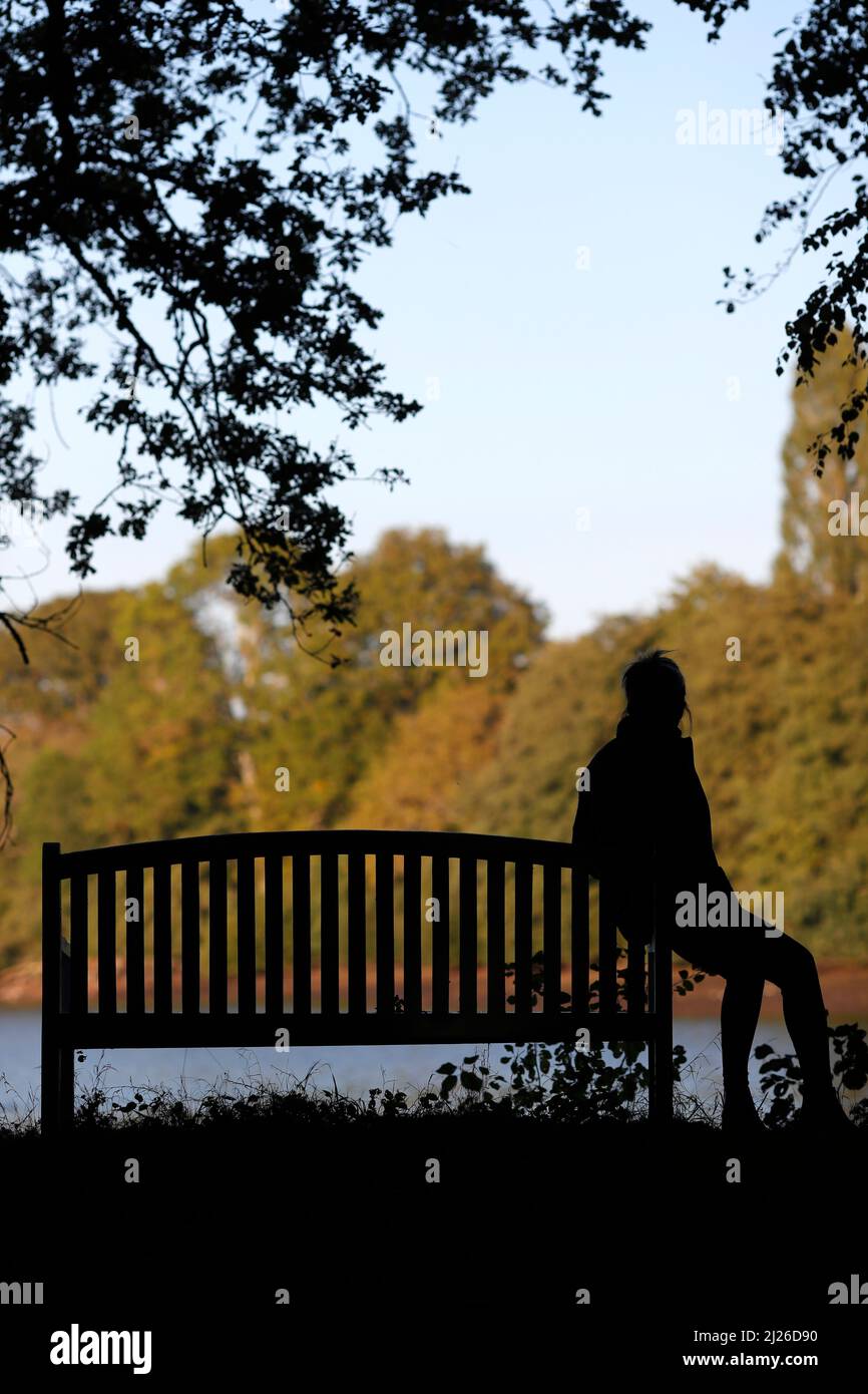 Silhouette donna seduta su panca parco contro lago e foresta. Foto Stock