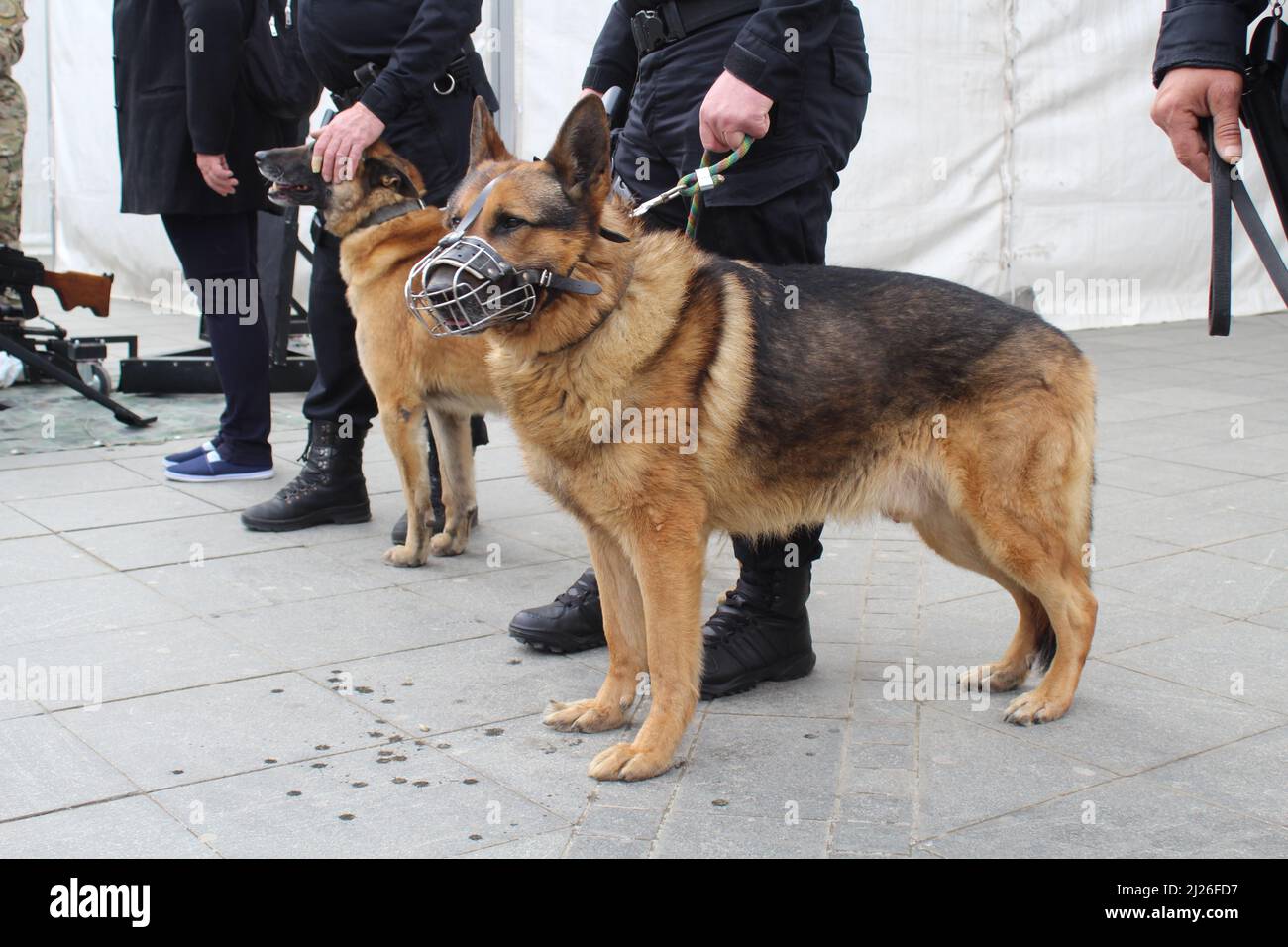 Banja Luka, Bosnia-Erzegovina - 30.03.2022, 30.03.2022 Banja Luka, Bosnia-Erzegovina - l'arma e le altre attrezzature della polizia della Republika Srpska esposti alla mostra nella piazza principale di Banja Luka in occasione della Giornata della polizia della Republika Srpska. Credit: Mladen Dragojlovic/Alamy Live News Foto Stock