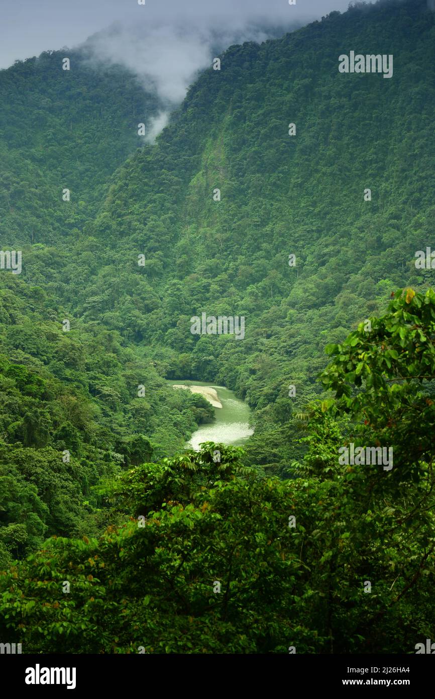 Vista sul fiume Anchicaya sulla foresta pluviale della regione del Pacifico. Valle del Cauca, Colombia Foto Stock