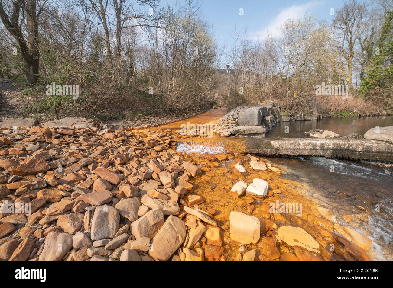 Colorazione arancione ossido di ferro in corrente che entra nel fiume Neath ad Abergarwed. La fonte è lo scarico di acqua da una miniera di carbone abbandonata. Foto Stock