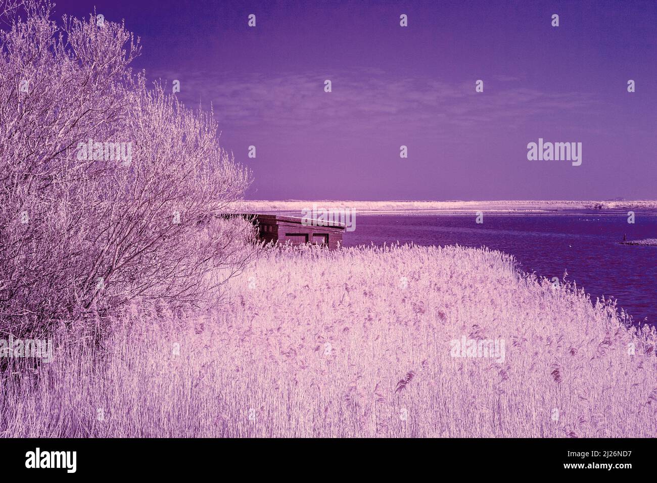 Immagine infrarossa rossa della palude di acqua dolce alla palude di Titchwell di RSPB in Anglia orientale su una mattinata di marcia Sunny Foto Stock