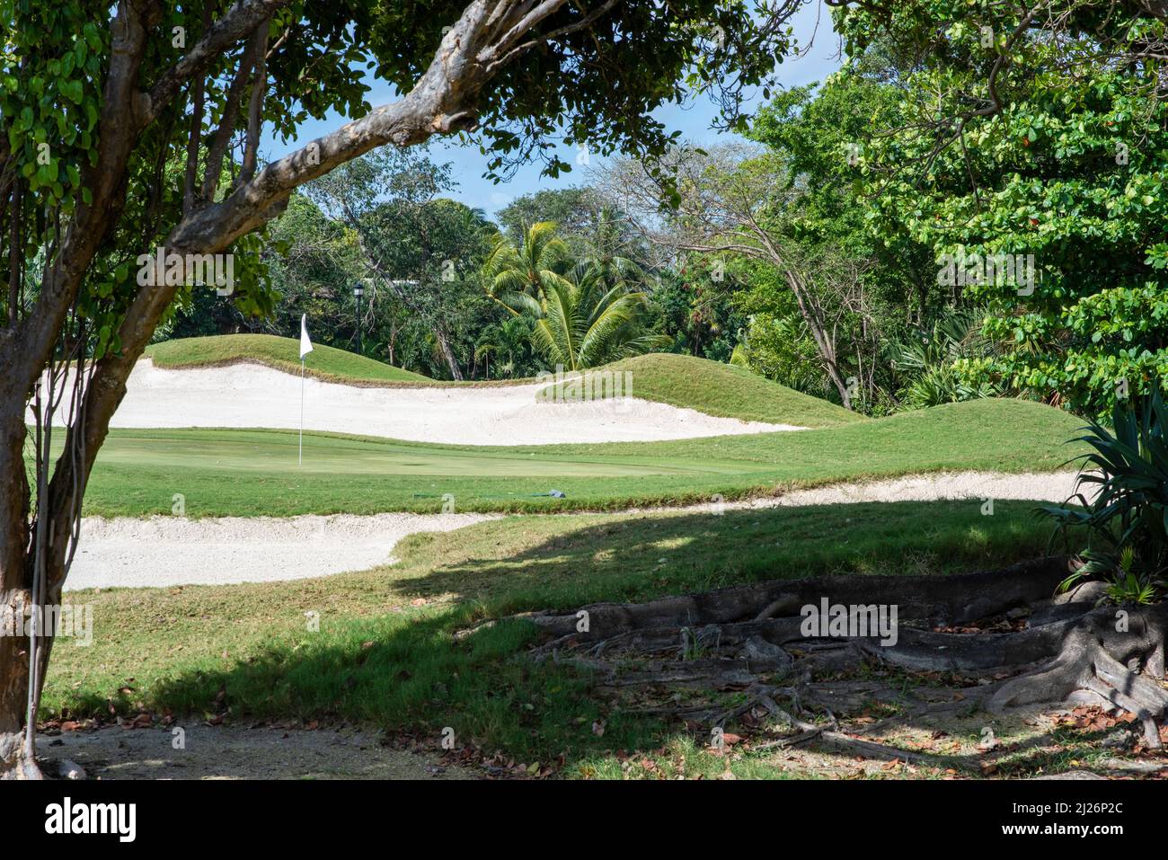 Foresta con piante esotiche in un campo da golf tropicale con bunker di sabbia contro il cielo blu in Messico Foto Stock