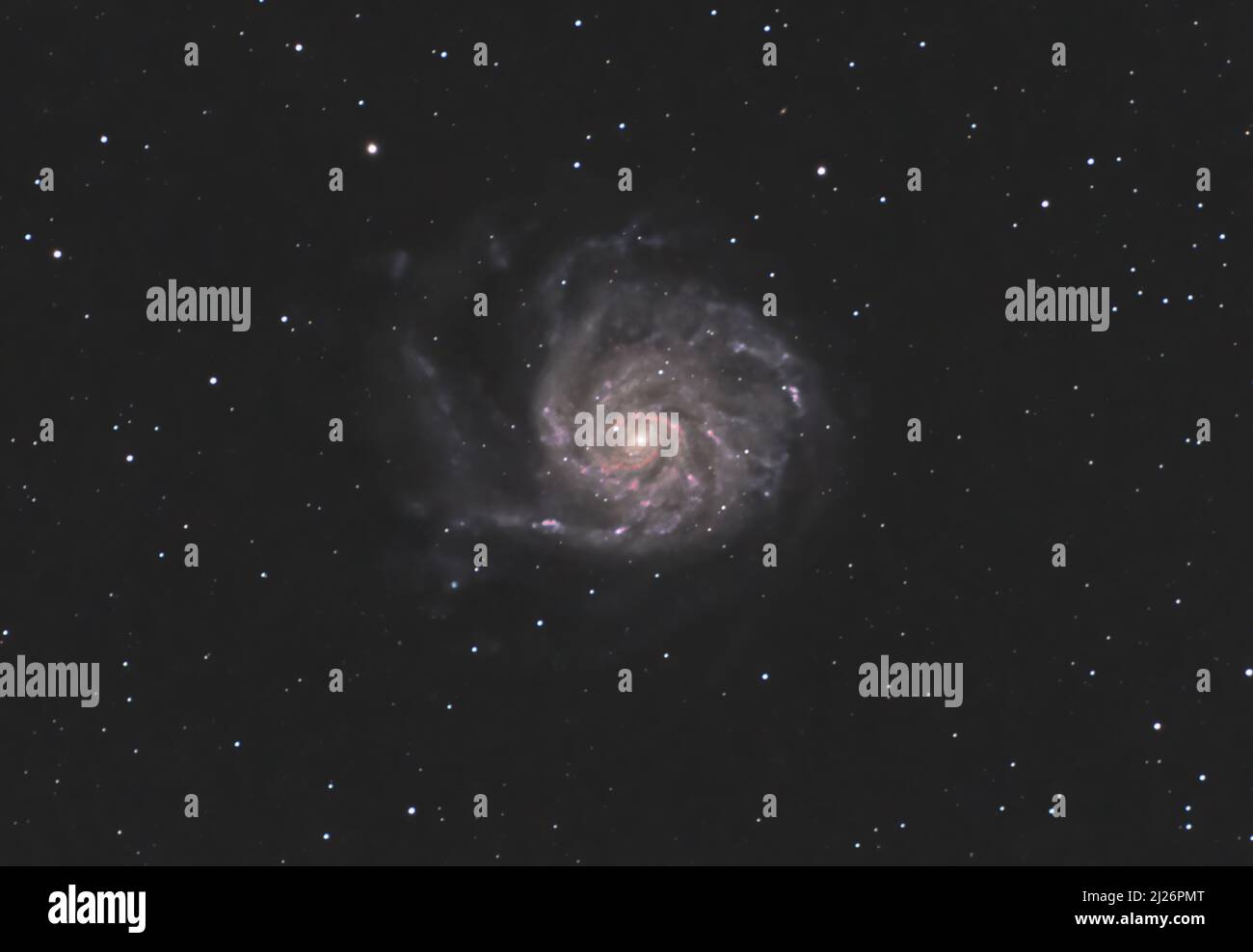 La galassia Pintheel (Messier 101) nella costellazione di Ursa maggiore fotografata dal Regno Unito Foto Stock