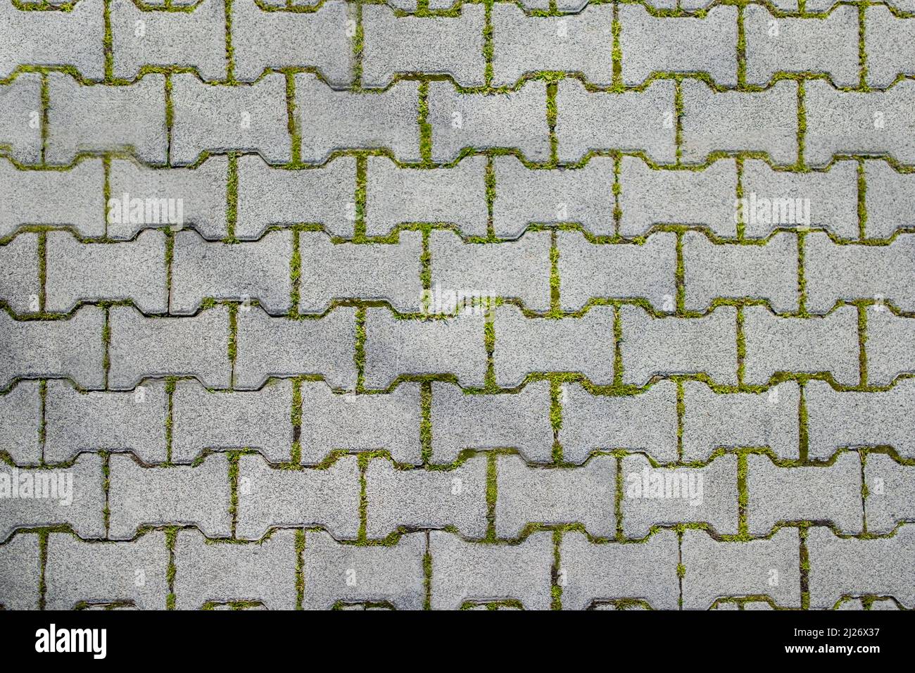 Texture map. Finitrici interbloccanti di forma speciale e erba tra le pietre. Cordolo, ciottoli, pietra arenaria. Messa a fuoco selettiva. Cemento pietra Backg Foto Stock
