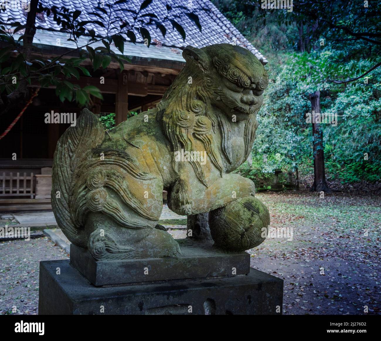 Komainu, o i cosiddetti leoni-cani in inglese, sono tipicamente in coppia con entrambi proteggere il santuario dal male. La sfera sotto la zampa dovrebbe Foto Stock