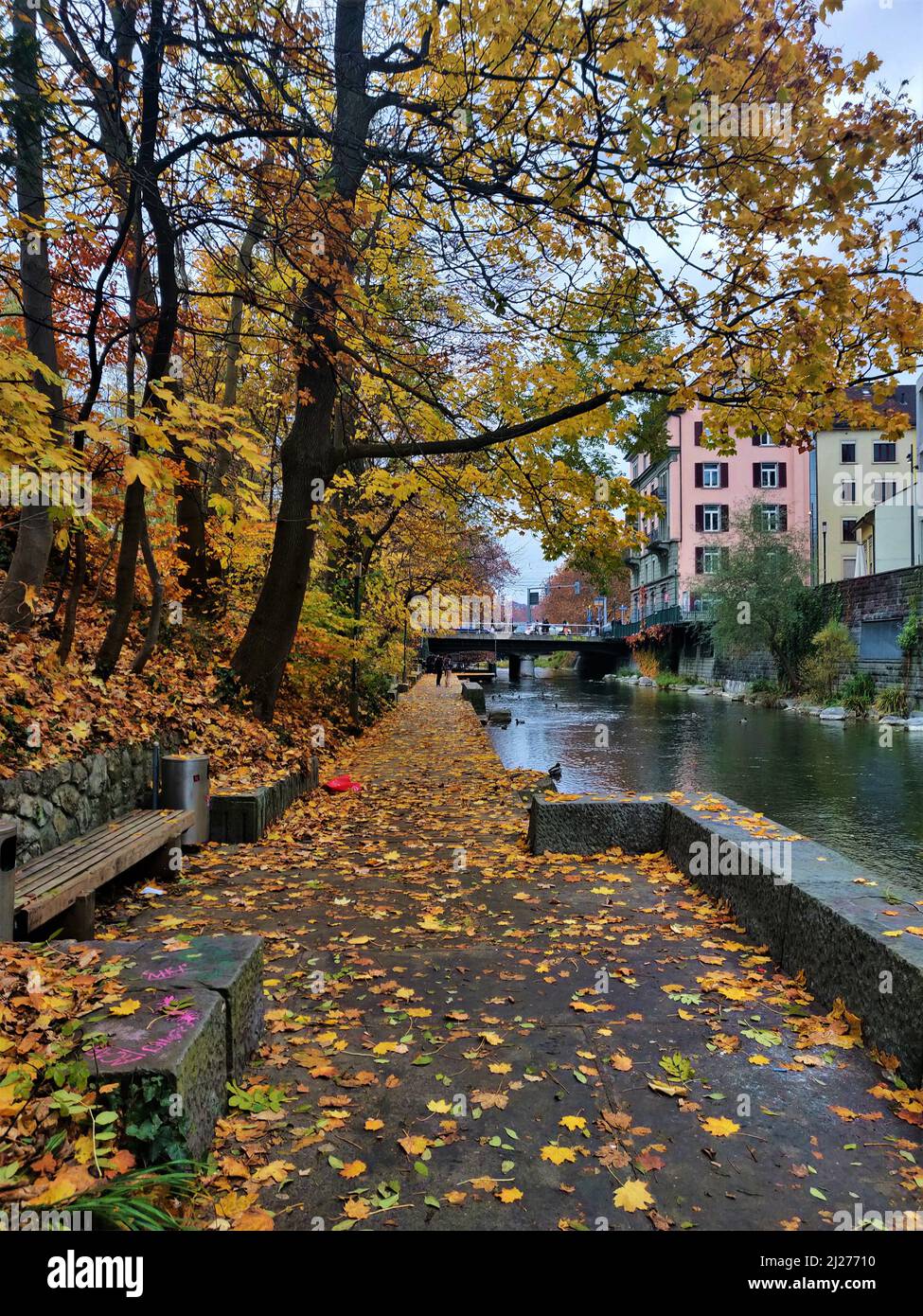 Schanzengraben in autunno - le foglie d'autunno coprono la passerella dei canali a Zurigo, Svizzera. Foto Stock