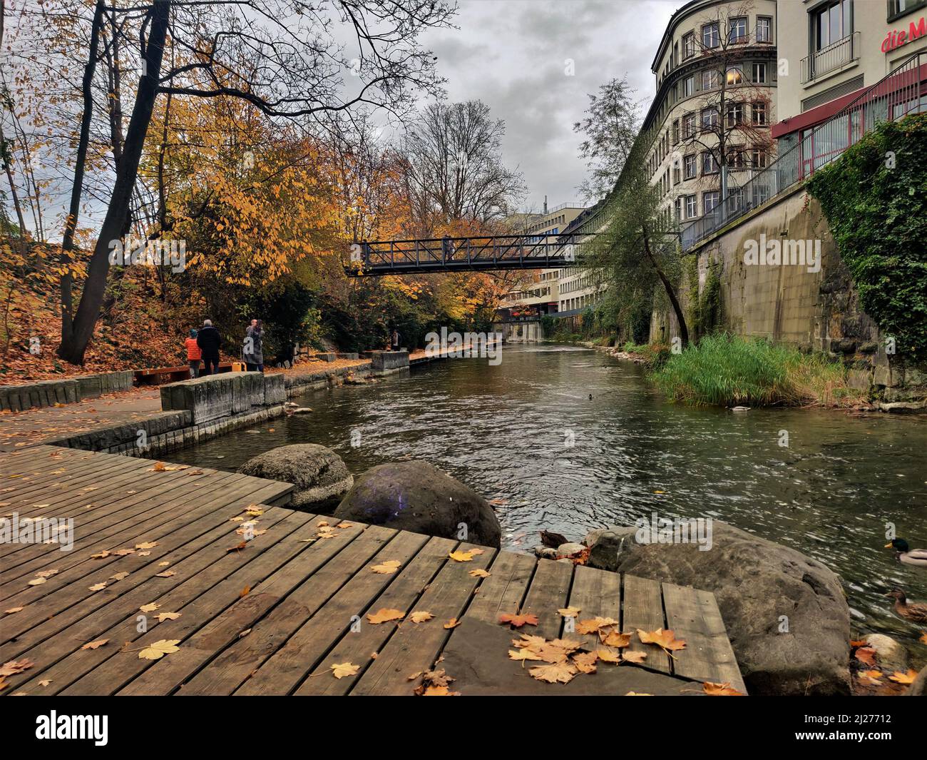 Passaggio coperto di leafe lungo le passeggiate di Seeuferanlage in un giorno di pioggia caduta (Schanzengraben, Zurigo, Svizzera) Foto Stock