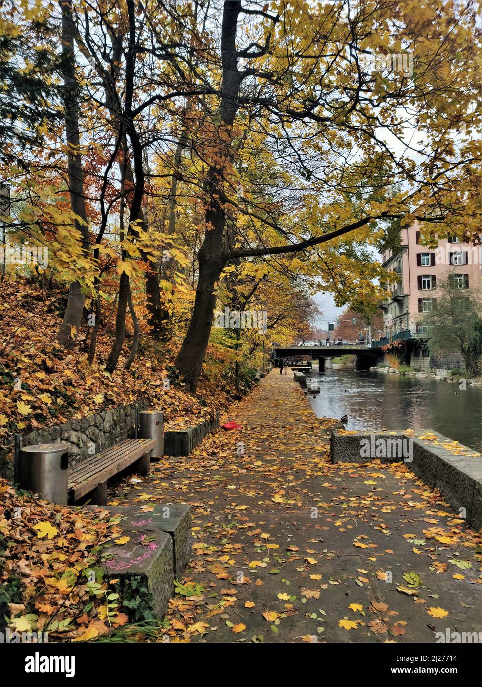Passaggio coperto di leafe lungo le passeggiate di Seeuferanlage in un giorno di pioggia caduta (Schanzengraben, Zurigo, Svizzera) Foto Stock