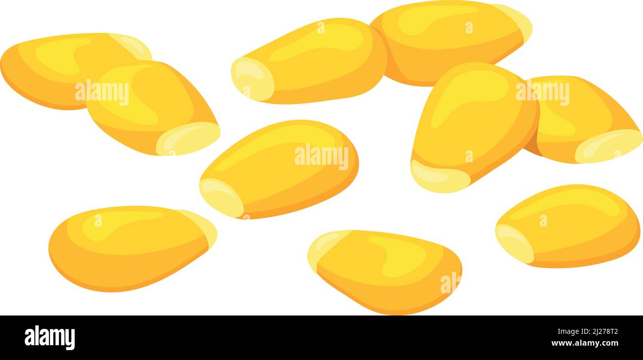 Granaglie di mais crude. Semi di mais gialli realistici isolati su sfondo bianco Illustrazione Vettoriale