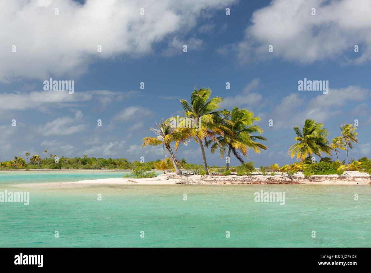 Atolli fiancheggiati da palme nell'arcipelago di Tuamotu Foto Stock