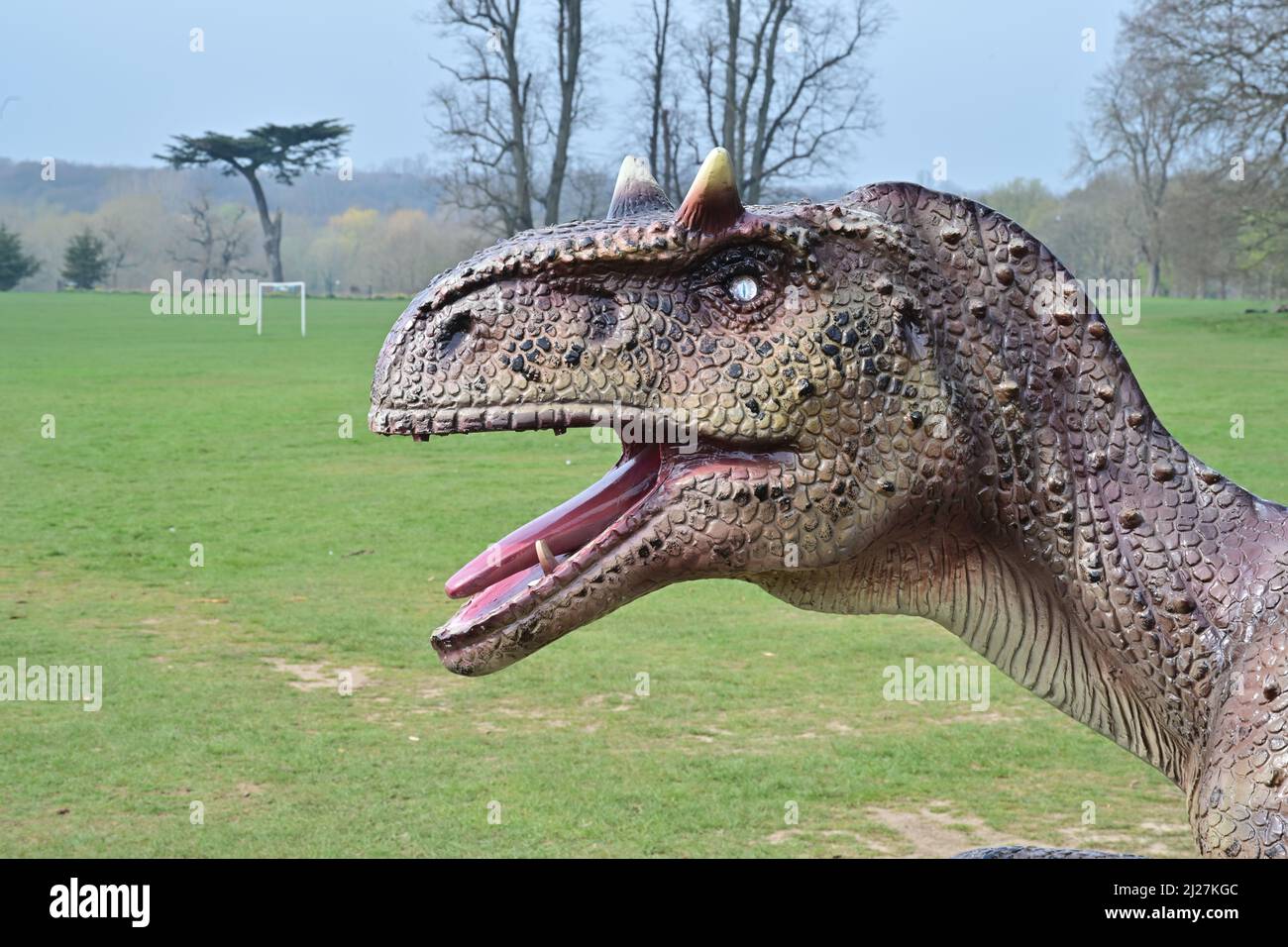 Attenzione ai dinosauri 🦕 portati in vita utilizzando animatronici. Si possono vedere nascondersi nei cespugli, pascolare nelle cime degli alberi e torreggiarsi sopra le vostre teste. Prima destinazione il 2022 aprile a Watford London, poi Buxton, Edimburgo, Rotterdam e Bristol. Foto Stock