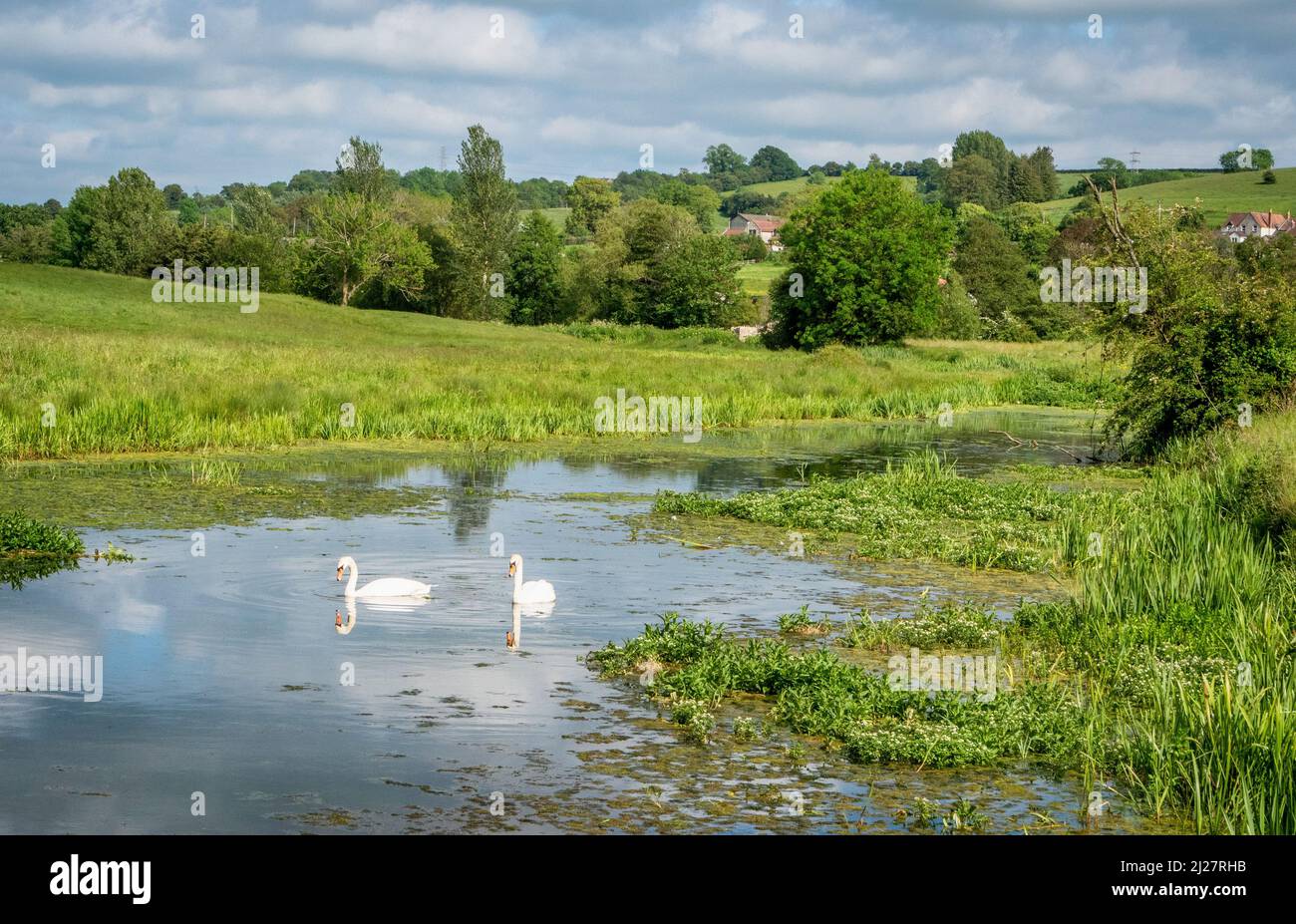 Scena idilliaca al Timsbury Basin, a capo del Somersetshire Coal Canal, che collegava il campo coalfield del Somerset con il Kennet & Avon Canal Somerset UK Foto Stock