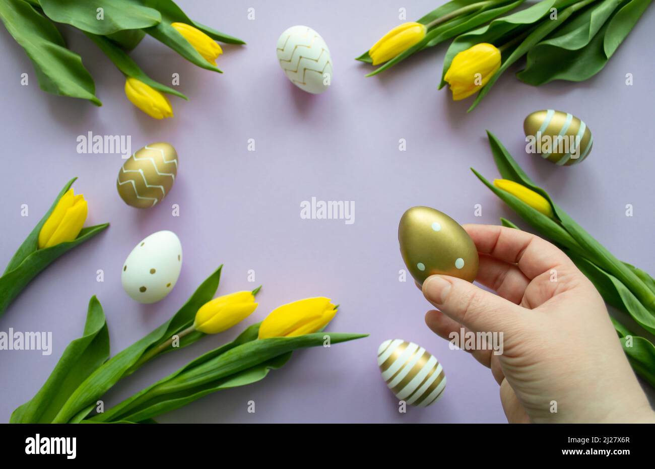 Auguri di Pasqua: La mano prende l'uovo d'oro, tulipani gialli, uova dipinte. Sfondo lilla. Spazio di copia. Foto Stock