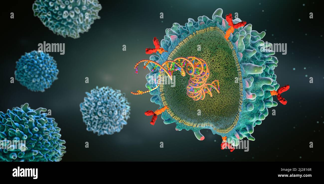 Cellula immunitaria del recettore dell'antigene chimerico geneticamente ingegnerizzato con filamento genico di mrna impiantato - illustrazione 3D Foto Stock
