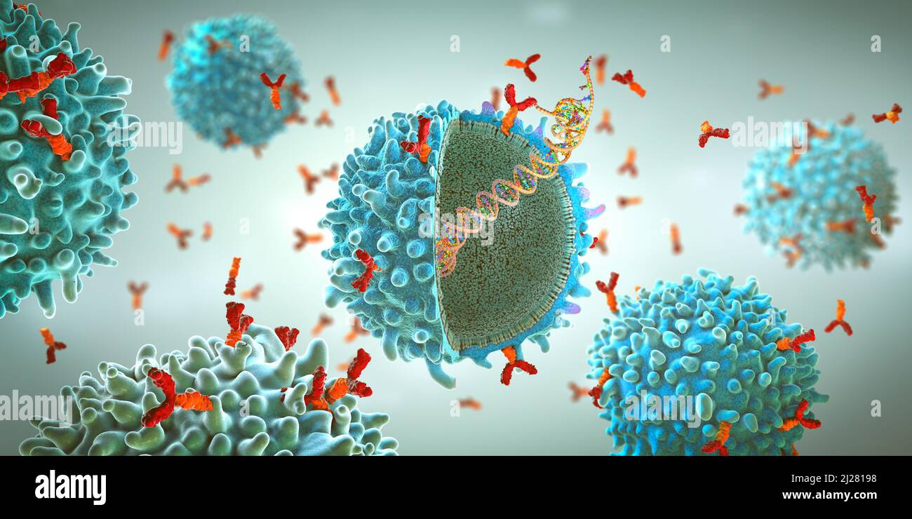 Cellula immunitaria del recettore dell'antigene chimerico geneticamente ingegnerizzato con filamento genico di mrna impiantato - illustrazione 3D Foto Stock
