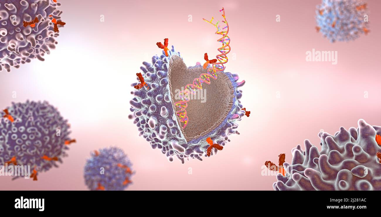 Cellula immunitaria del recettore dell'antigene chimerico geneticamente ingegnerizzato con filamento genico di mrna impiantato - illustrazione 3D Foto Stock