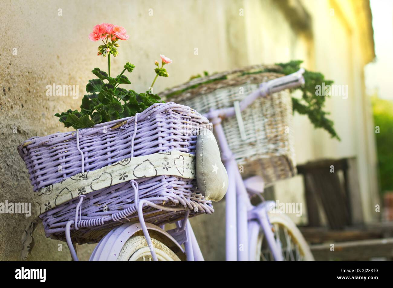 Cesto di fiori in vimini bicicletta immagini e fotografie stock ad alta  risoluzione - Alamy