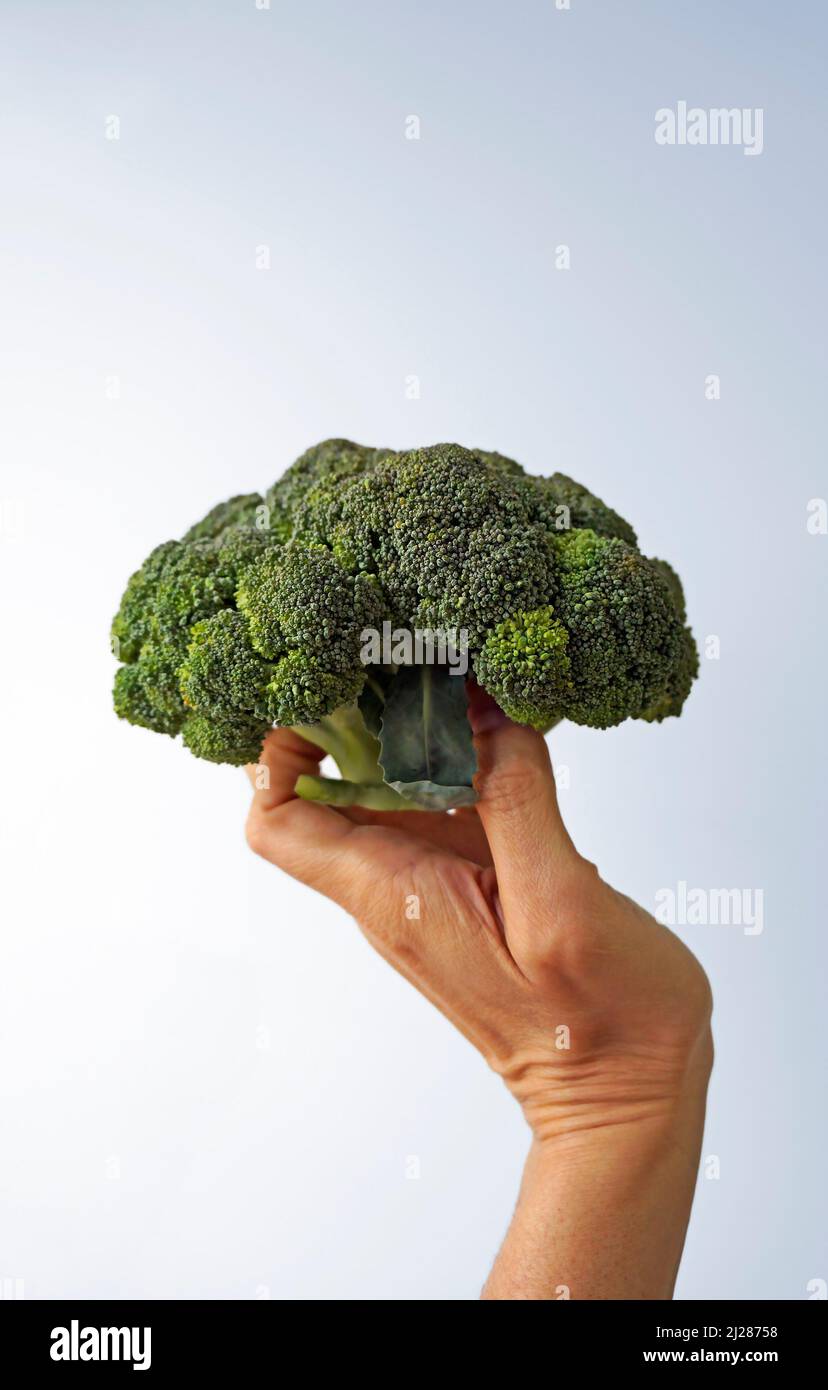 Broccoli a portata di mano su sfondo luminoso Foto Stock