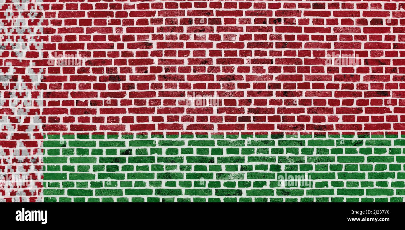 Primo piano su un muro di mattoni con la bandiera della Bielorussia dipinta su di esso. Foto Stock