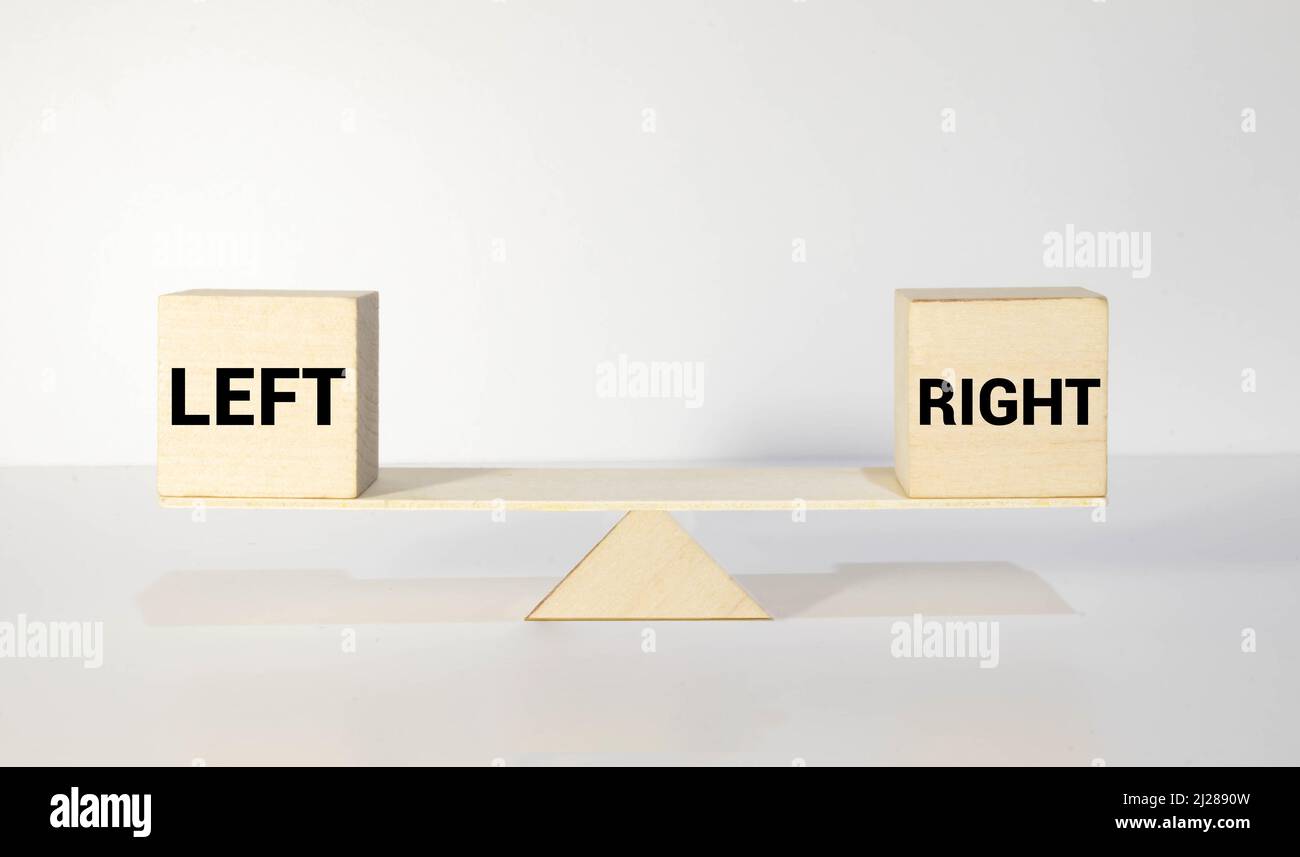 cervello sinistro e cervello destro - concetto di psicologia - testo isolato in carta intestata vintage tipo blocchi di stampa legno. Foto Stock