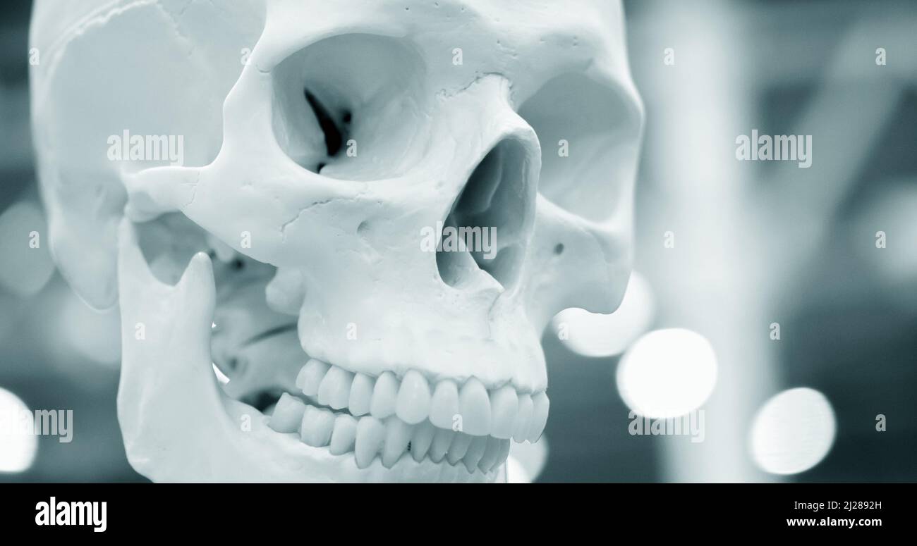 Layout bianco teschio umano closeup, medico presentano Foto Stock