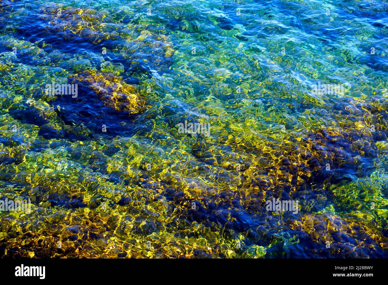 Rilievo di fondo marino colorato nelle baracche coperte di acqua di mare limpida e blu Foto Stock