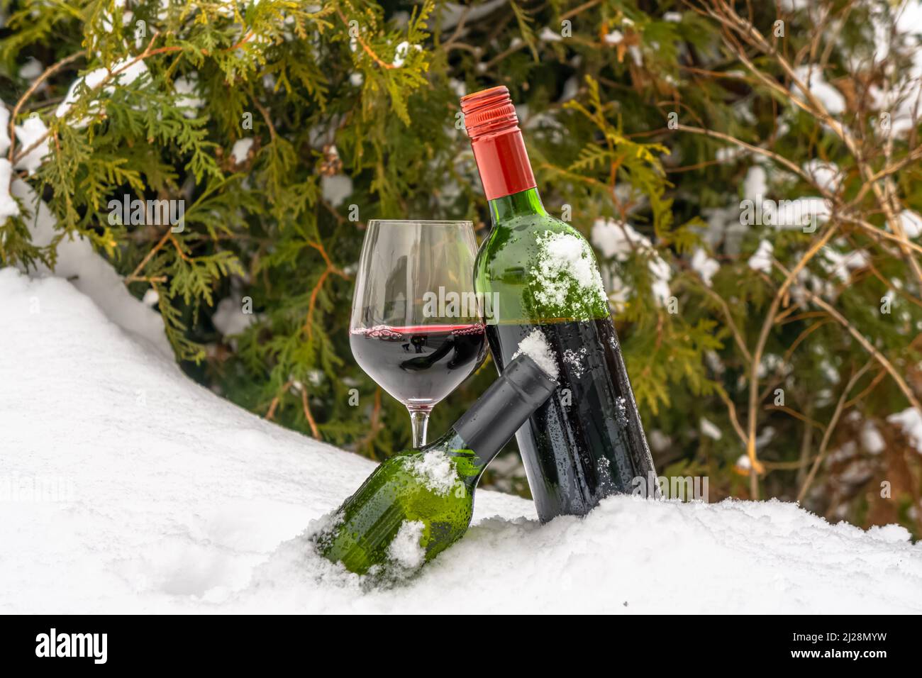 Due bottiglie di vino rosso e bianco con un bicchiere di vino rosso nella neve fredda Foto Stock