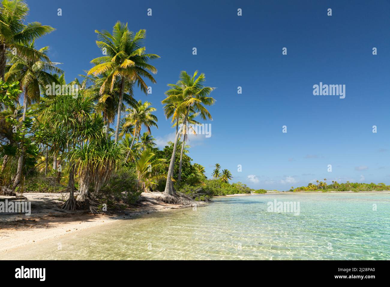 Atolli fiancheggiati da palme nell'arcipelago di Tuamotu Foto Stock