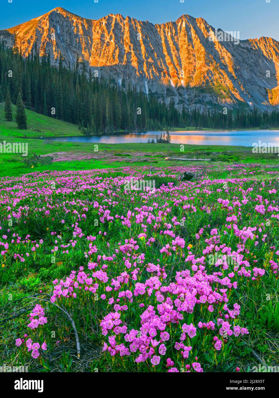 Lago nascosto in Eagle Cap Wilderness, Oregon Foto Stock