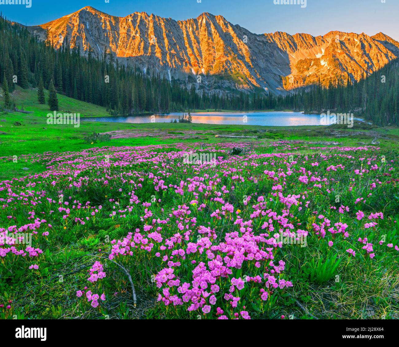 Lago nascosto in Eagle Cap Wilderness, Oregon Foto Stock